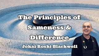 What is the difference between Oneness and Sameness [upl. by Dallas]