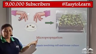 Micropropogation Method  Vegetative Propogation  Class 8  CBSE  NCERT  ICSE [upl. by Diad]