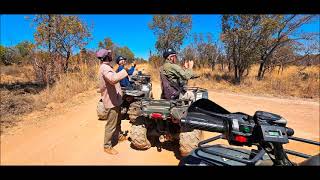 Quad  Mabula Game Reserve [upl. by Jariv]