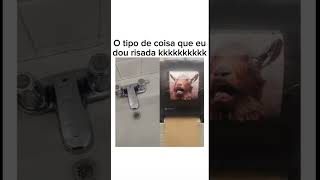 O tipo de coisa que eu dou risada 😂 shorts memes [upl. by Arraet]