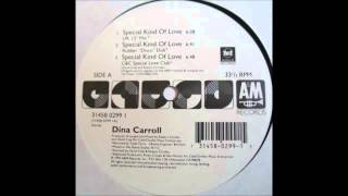 1992 Dina Carroll  Special Kind Of Love Todd Terry UK 12quot RMX [upl. by Ikuy515]