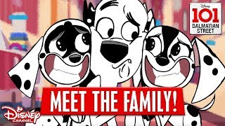 MEET THE FAMILY  101 Dalmatian Street  Disney Channel Africa [upl. by Nabala]