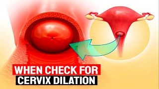 How to Check Cervical Dilation During Pregnancy  Causes amp Complications Explained [upl. by Elianora]