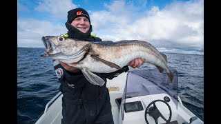 Angeln in Norwegen Heggøy Rorbuer  PollackParadies vor der Insel Sotra bei Bergen [upl. by Hamas]