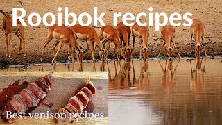 The Best Venison Recipes  Impala  Rooibok  Xman and Co [upl. by Neimad178]