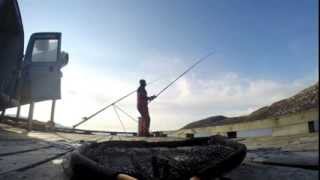 Shore Fishing Norway Skarnsundet [upl. by Narhem746]