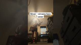 Sliver  nirvana bass cover [upl. by Yakcm]