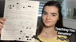 ASMR Teaching You Genetics  Drawing Pedigrees [upl. by Ettenig]