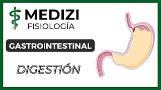 Clase 53 Fisiología Gastrointestinal  Digestión en el tubo digestivo IGdoctorpaiva [upl. by Polard]