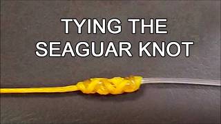 Tying the SeaguarLefty Kreh knot [upl. by Nohshan809]