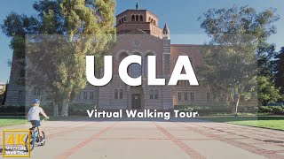 University of California Los Angeles Part 1  Virtual Walking Tour 4k 60fps [upl. by Chloette]