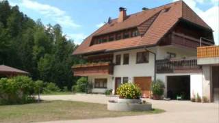 Urlaub auf dem Bauernhof im Hochschwarzwald in St Märgen  Schreinerhäusle  Schwarzwald [upl. by Valley]