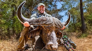 Bowhunting A MONSTER Cape Buffalo  100 Free Ranging [upl. by Janel]