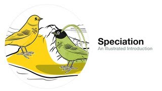 Speciation An Illustrated Introduction [upl. by Inaffit]