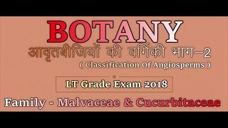 Biology  Botany  Classification Of Angiosperms Part2 Family  Malvaceae amp Cucurbitaceae [upl. by Colb]