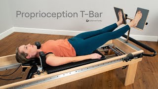 Proprioception TBar Introduction [upl. by Meuse]