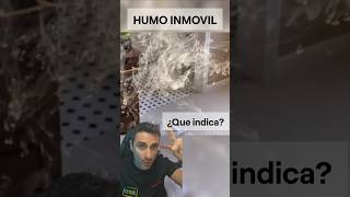 Humo inmóvil ¿Qué indica curiosidades supervivencia sabiasque [upl. by Ailices540]