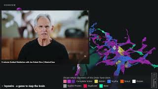 Jon KabatZinn  5minute Guided Mediation  20 Minute Guided Meditation  Body Scan Exercise [upl. by Musa]