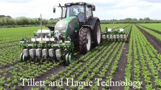 High Speed Electric Inrow Weeding [upl. by Hort851]