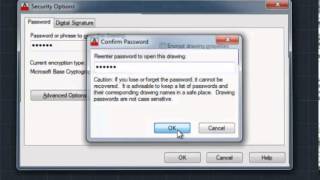 Protect AutoCAD File with Password [upl. by Nnyre510]