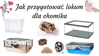 Jak przygotować lokum dla chomika [upl. by Ahsemo]