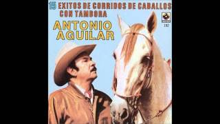 Antonio Aguilar  El Potro Lobo Gateado [upl. by Peggir]