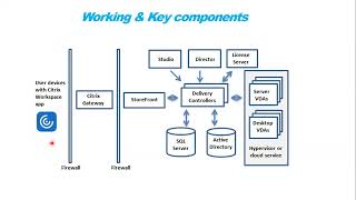 What is Citrix amp How it Works 1 on 1 Live Sessions [upl. by Shuma]