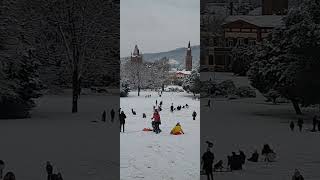 Rodeln im Weinheimer Schloßpark [upl. by Pate]