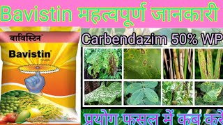 Carbendazim  Bavistin  bavistin fungicide uses  bavistin fungicide  carbendazim 50 wp uses [upl. by Oer]