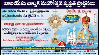 LIVE ANNUAL FEAST OF INFANT JESUS  PRAYER amp HEALING SERVICE  INFANT JESUS SHRINE  EMJALA 110224 [upl. by Aibara650]