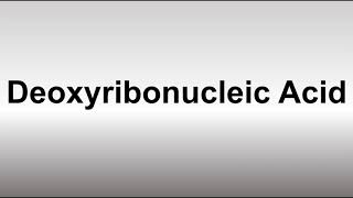 How to Pronounce Deoxyribonucleic Acid DNA [upl. by Cerallua]