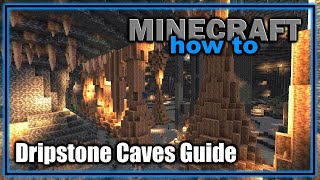 Everything About the Dripstone Caves Biome 118  Minecraft Biome Guide [upl. by Horne51]