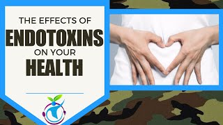 Effects of ENDOTOXINS on your HEALTH [upl. by Yrrap]