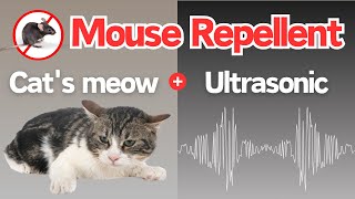 Mouse Repellent Noise  Cats meows and ultrasonic sounds make mice flee from your home [upl. by Aniroz506]