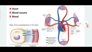 MPSC DRUG INSPECTOR  COMPOSITION AND FUNCTIONS OF BLOOD [upl. by Novehc]