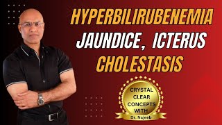 Jaundice vs Hyperbilirubinemia vs Icterus vs Cholestasis 🩺 [upl. by Enelrahc679]