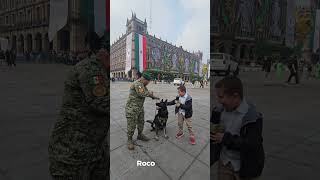 Sargento Roko del ejército Mexicano 🇲🇽 [upl. by Farlie]