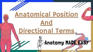 Anatomical Position And Directional Terms  Anatomy MADE EASY  Novice Medic [upl. by Becky997]