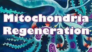 ❉ Powerful Mitochondria Rejuvenation  High Energy  Best Health  Youth  Relaxing Ocean Sounds [upl. by Danni]