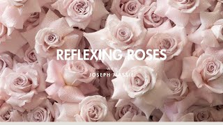 How To Reflex Roses [upl. by Jerrylee]