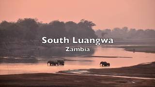 South Luangwa Zambia [upl. by Eigriv]