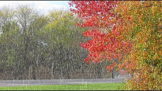 Graupel  Snow Pellets [upl. by Norag]