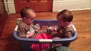 Cute And Funny Baby Laughing Hysterically Compilation  5Minute Fails [upl. by Rorie]