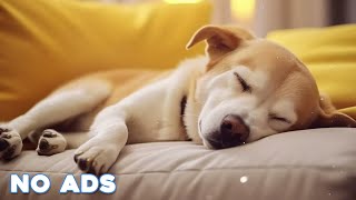 12 Hours Anti Anxiety Music For Dogs 🐶 Stress Relief Music For Dogs ♬ Calming Music For Dogs [upl. by Euqinay]