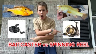 BAITCASTER vs SPINNING REEL fishing [upl. by Ernaldus]