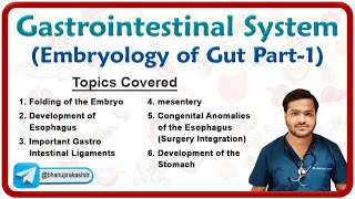 Embryology of Gastrointestinal system  Development of Foregut Part  1 [upl. by Emanuel]