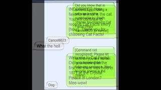 Cat Facts  Funniest Text Prank Ever [upl. by Higinbotham]