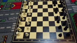 Schach  Die Anfangsstellung der Figuren auf dem Schachbrett [upl. by Trask]