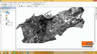 Reclassement raster Arcgis [upl. by Ignatzia530]