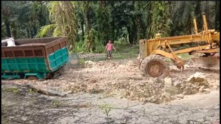 Palm Tractor in Heavy Offroad Working in Muddy Road [upl. by Manley805]